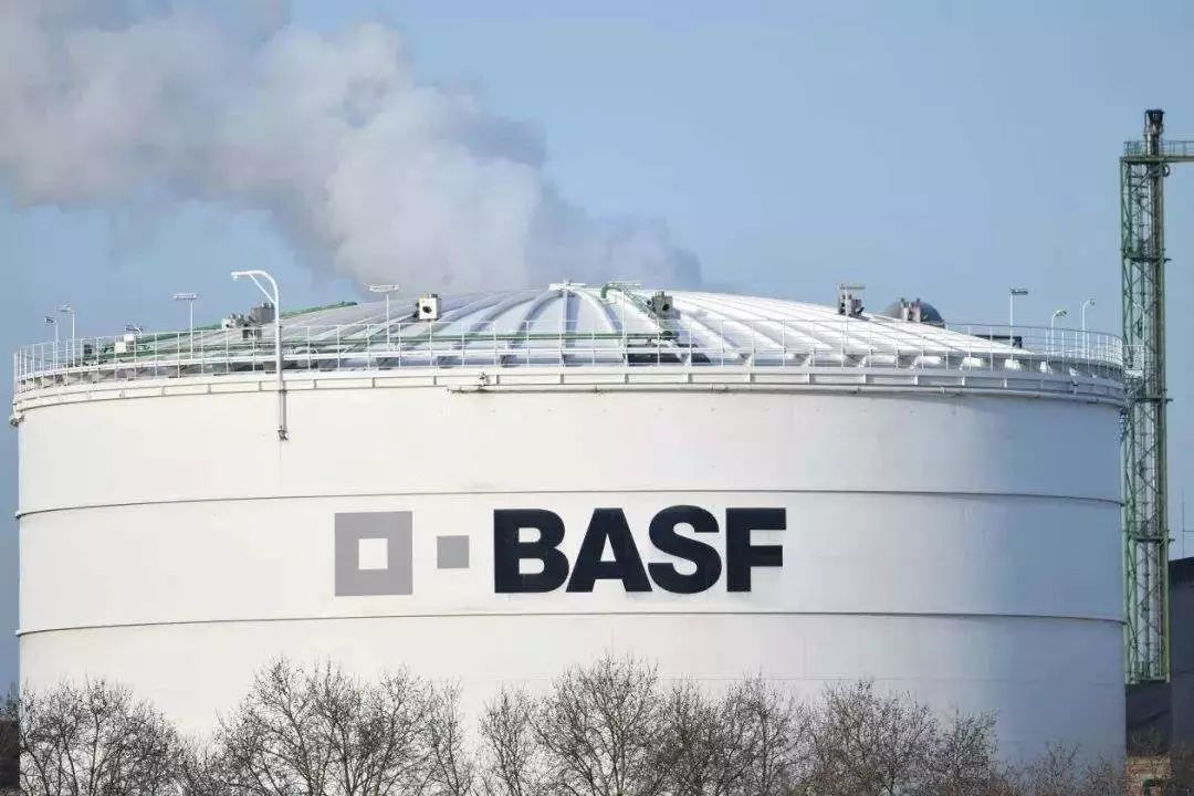 BASFDD.jpeg